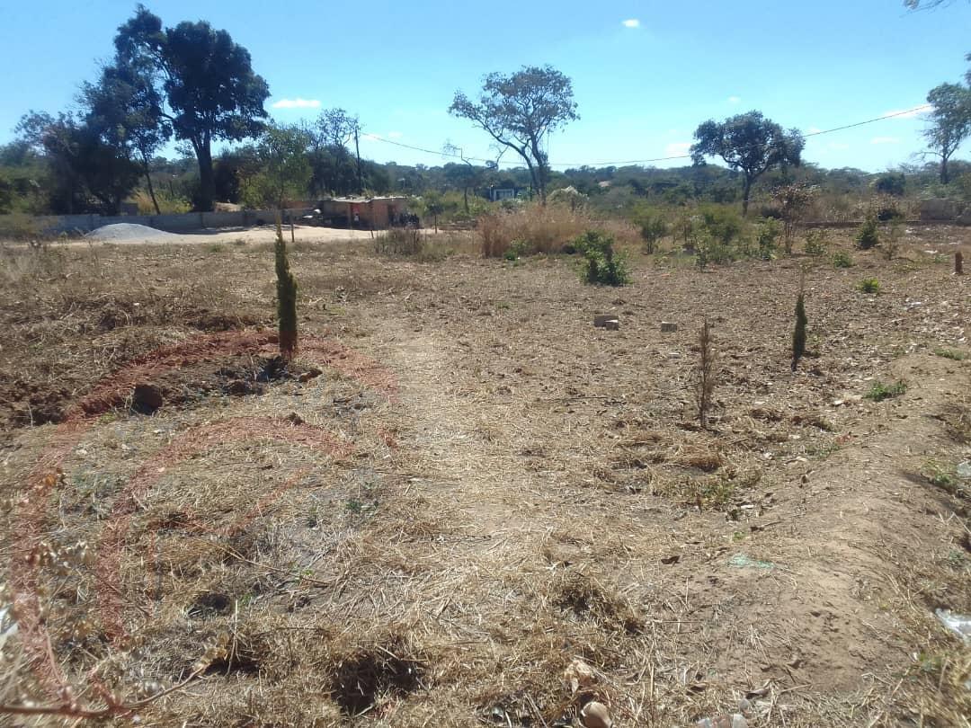 Residential Plot for sale in State Lodge