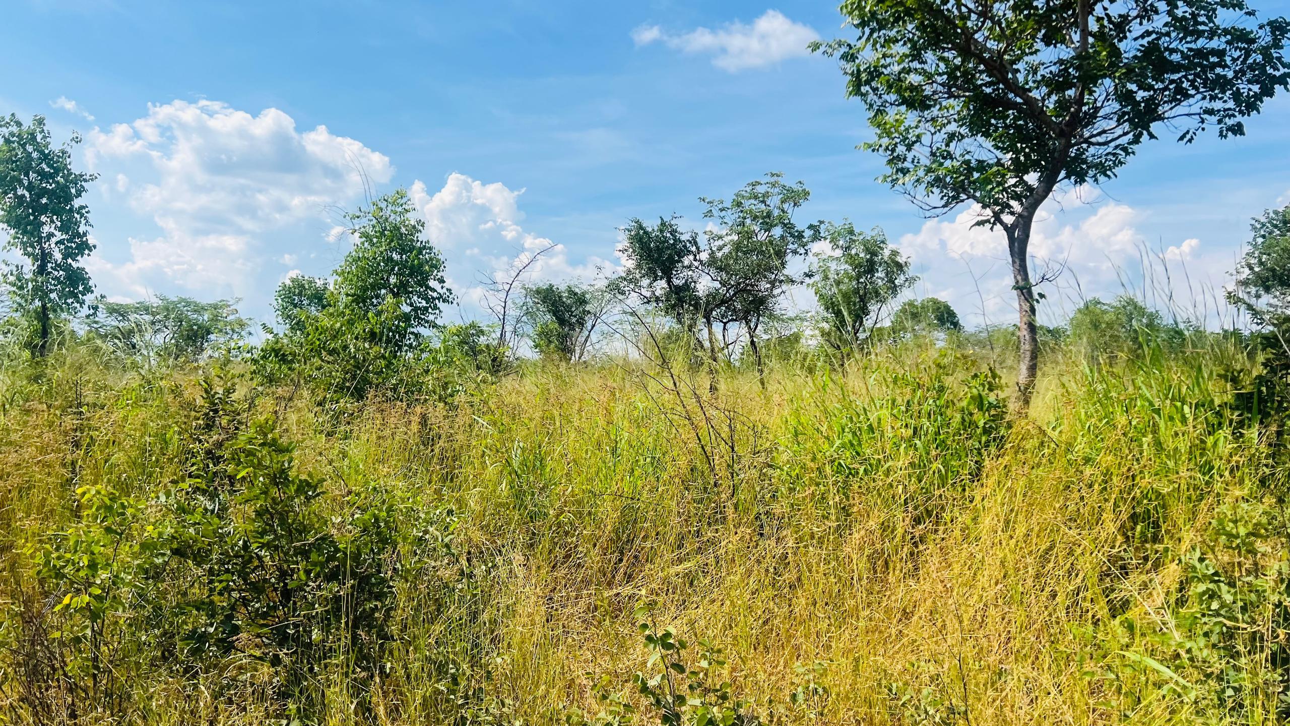 Vacant Residential Plot for sale in Higlands